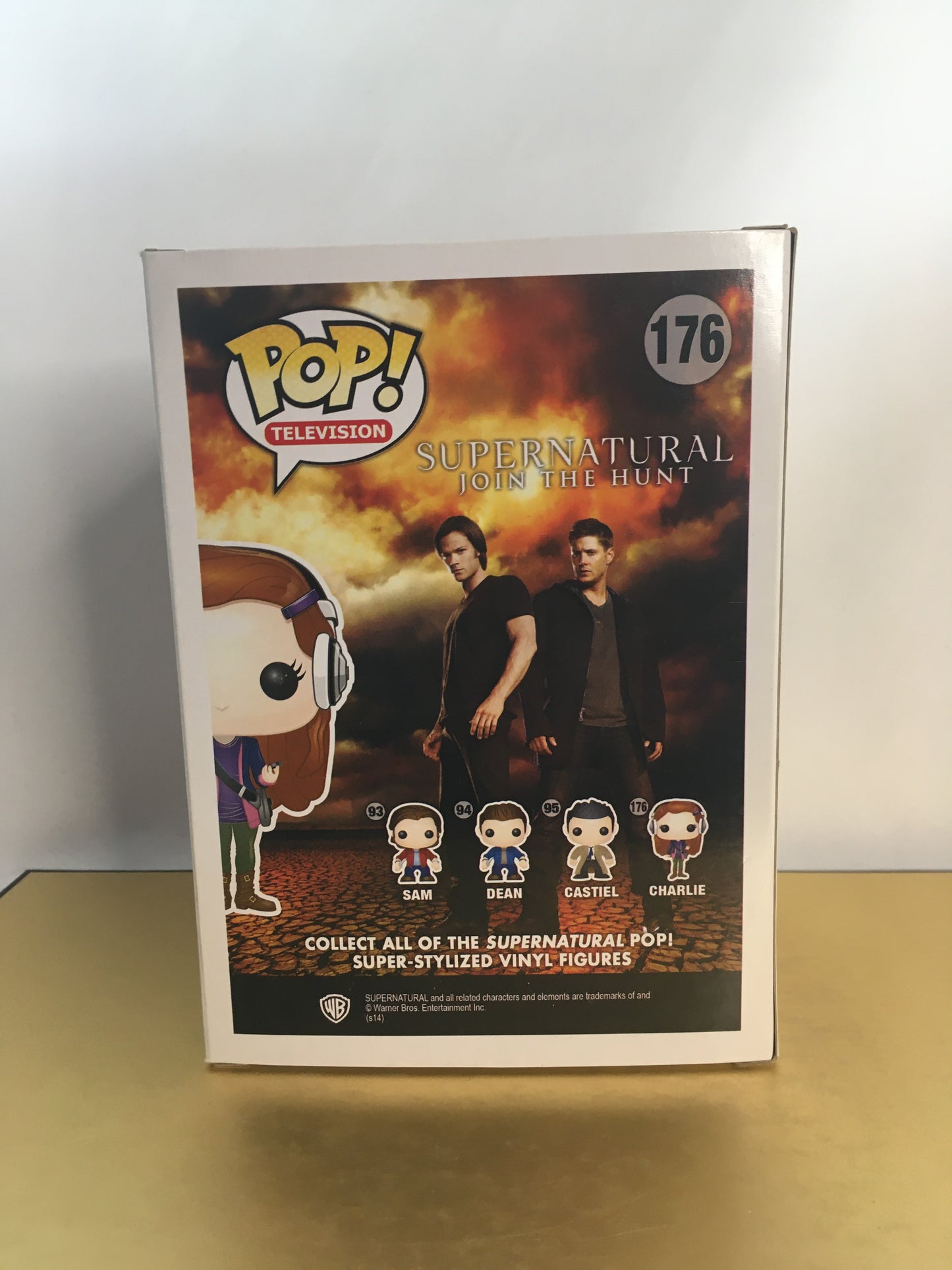 Vaulted Funko Pop Charlie Bradbury 176