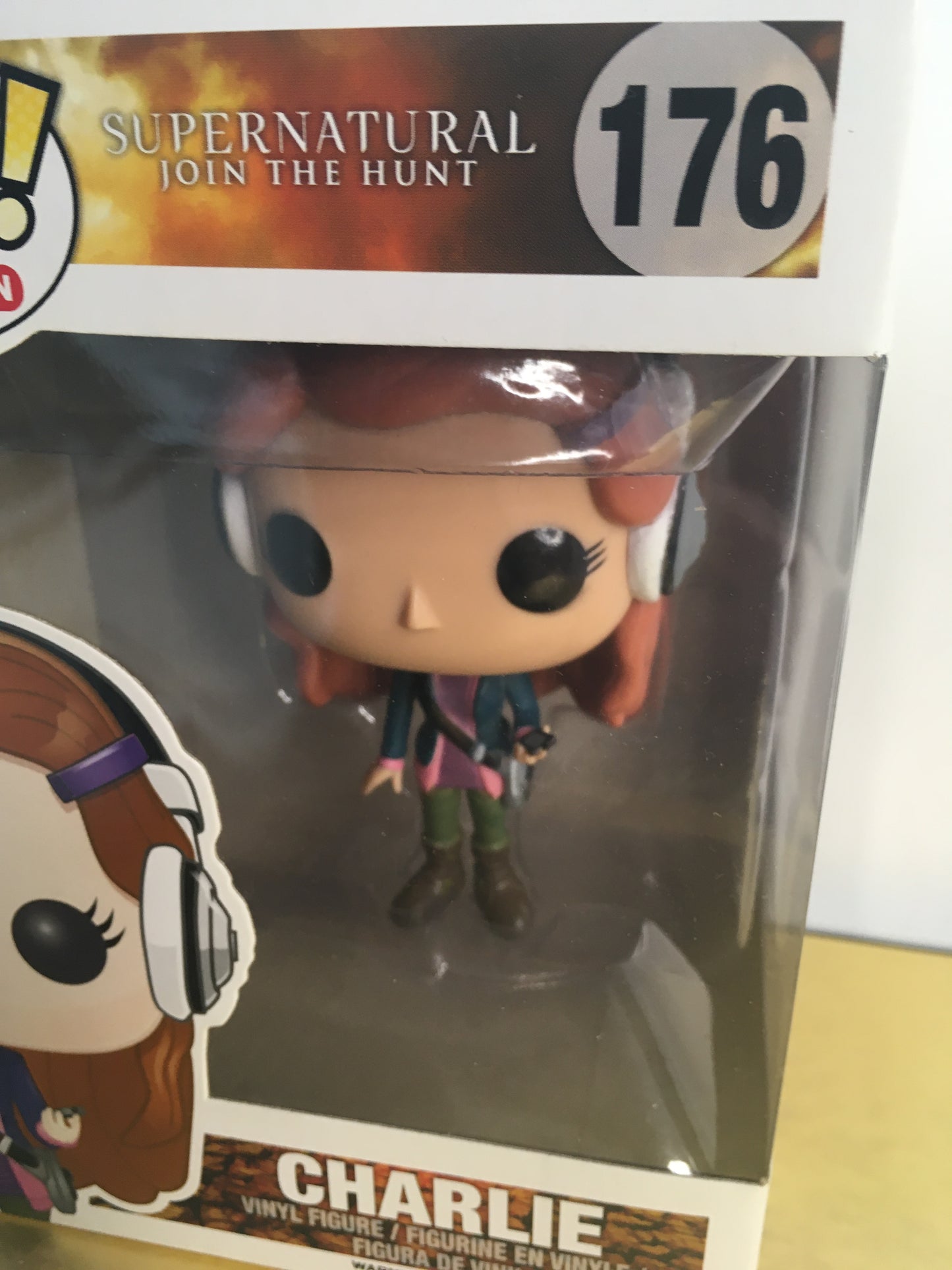 Vaulted Funko Pop Charlie Bradbury 176