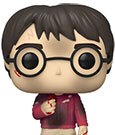 Funko Pop! Harry Potter 132